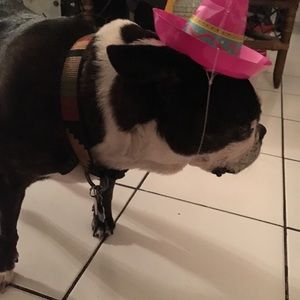 Meet your Posher, Belen